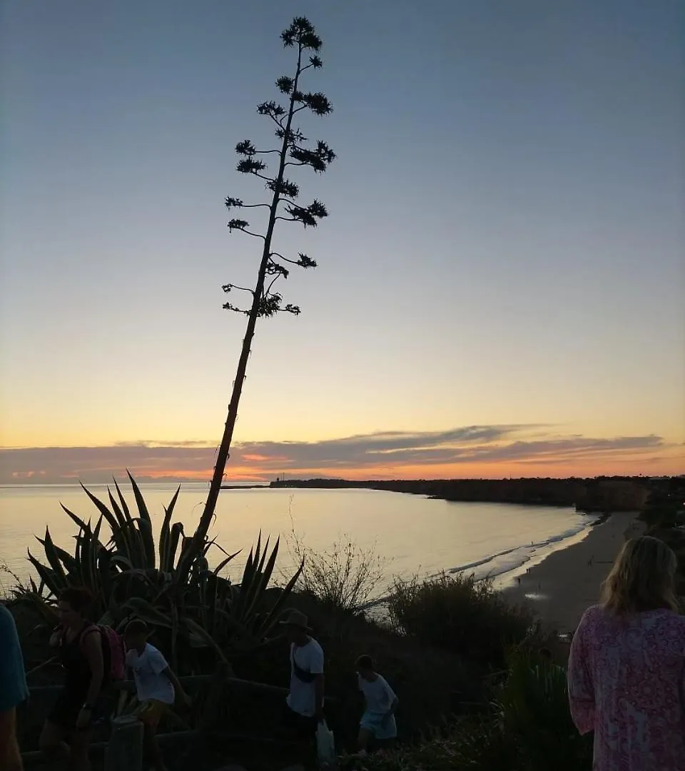 Conil Vistas Al Mar Del Roqueo, Fuente Del Gallo Conil De La Frontera 0*,  Espanha